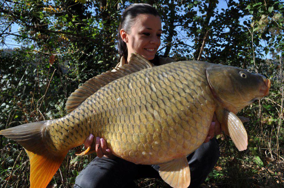 girls fishing - 4804893240969377192431157578908n.jpg